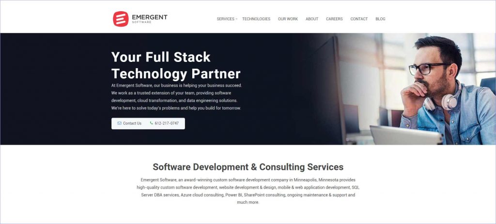 Emergent Software