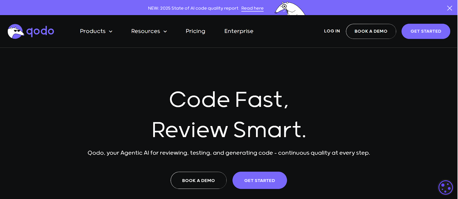 1. Qodo