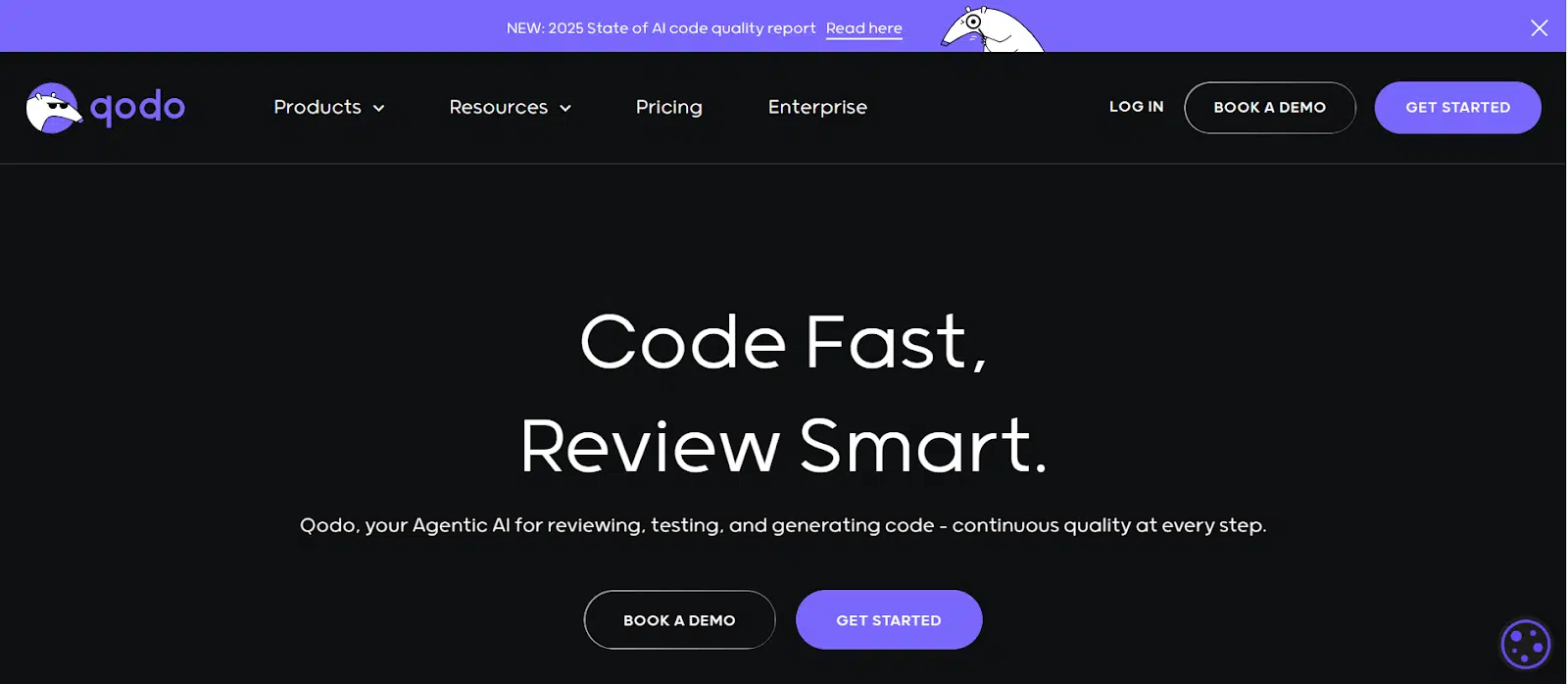 1. Qodo