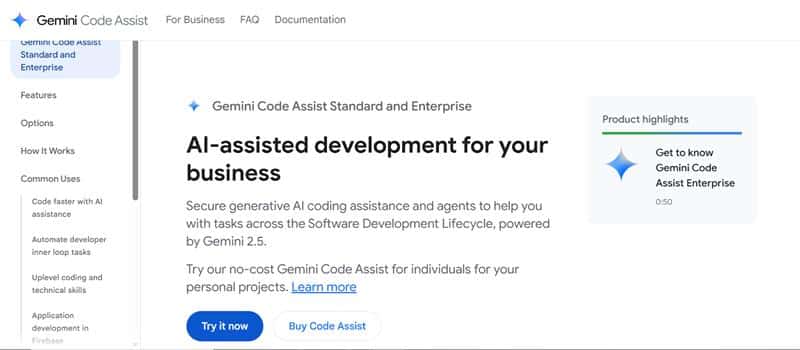 8. Gemini Code Assistant